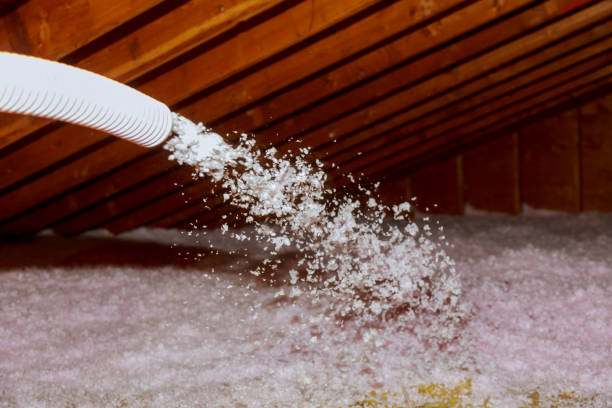 Best Spray Foam Insulation in Bonita, CA