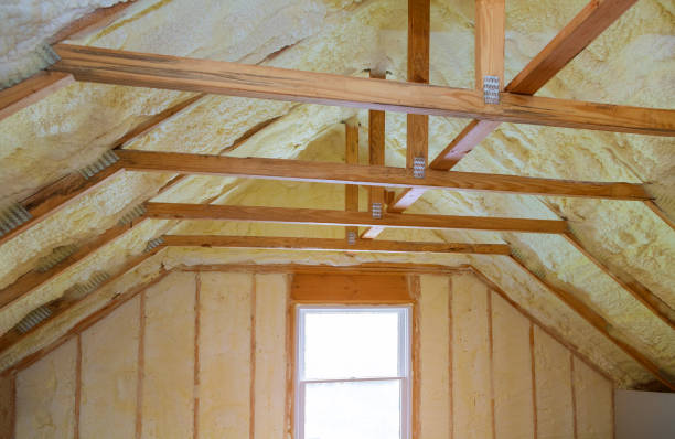 Best Energy Efficiency Insulation in Bonita, CA