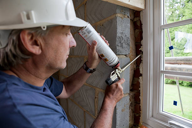 Best Insulation Maintenance and Repair in Bonita, CA