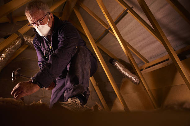 Best Eco-Friendly Insulation in Bonita, CA